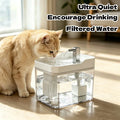 Transparent USB Cat Water Fountain - Anti-Dry-Burn Pump