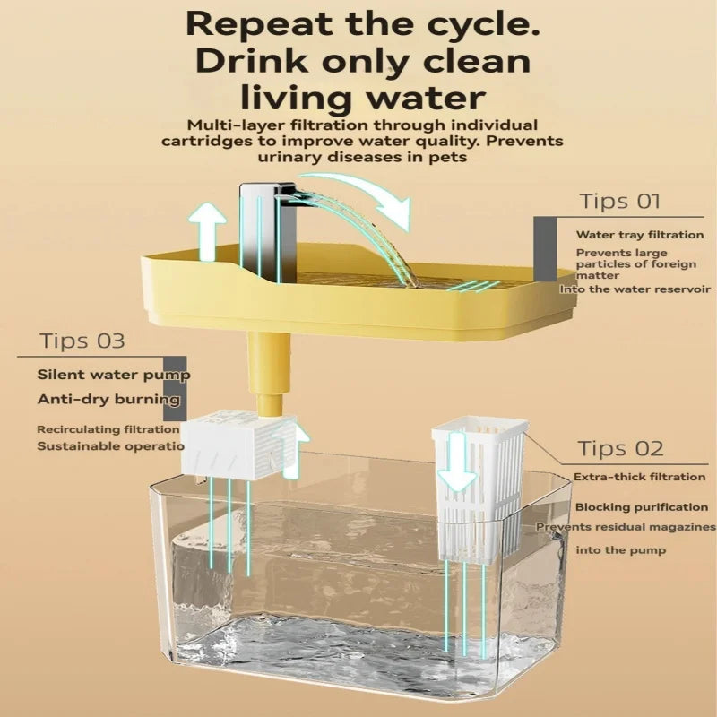 Transparent USB Cat Water Fountain - Anti-Dry-Burn Pump